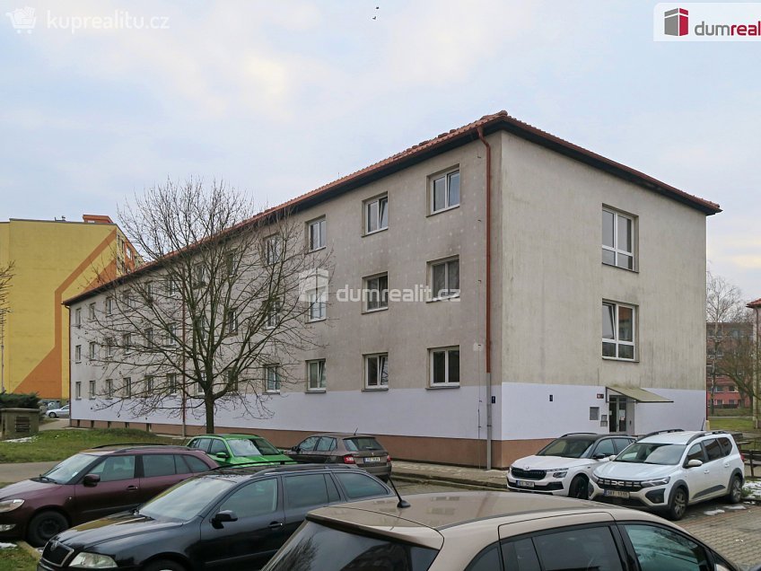 Pronájem bytu 1+1 30 m^2 Školní, Neratovice 