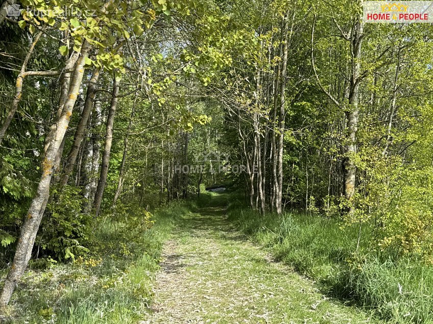 Prodej  stavebního pozemku 5428 m^2 Nová Pec, Nová Pec 