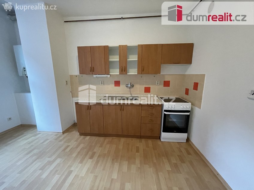 Pronájem bytu 1+1 45 m^2 Šaldova, Ústí nad Labem 
