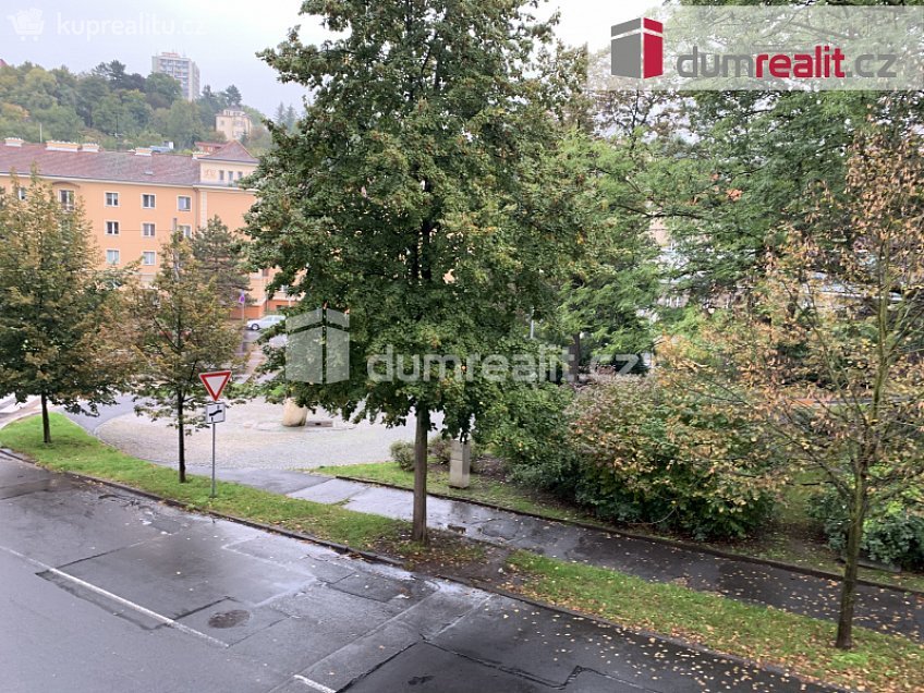 Pronájem bytu 1+1 45 m^2 Šaldova, Ústí nad Labem 