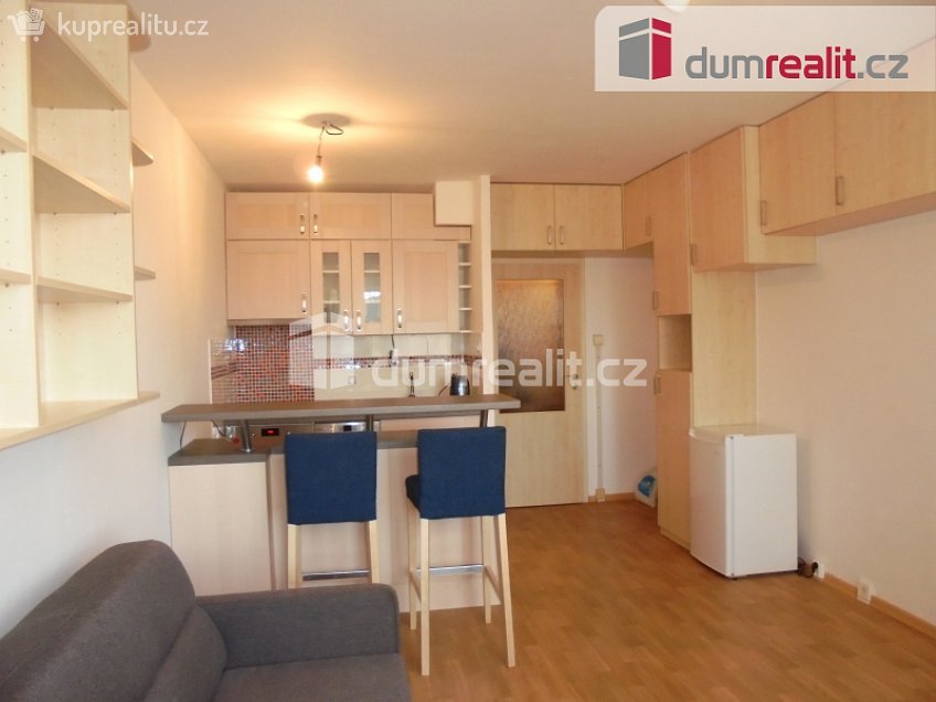 Pronájem bytu 1+kk 31 m^2 Nad Opatovem, Praha 11 