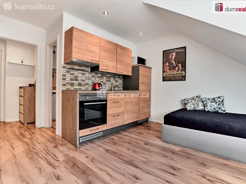 Prodej bytu 1+kk 24 m^2 Moskevská, Karlovy Vary 