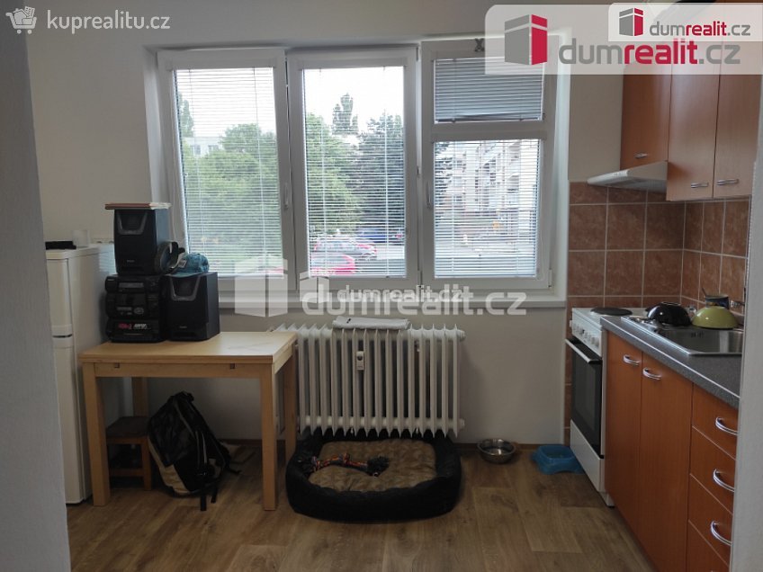 Pronájem bytu 1+kk 16 m^2 Sklářská, Poděbrady 