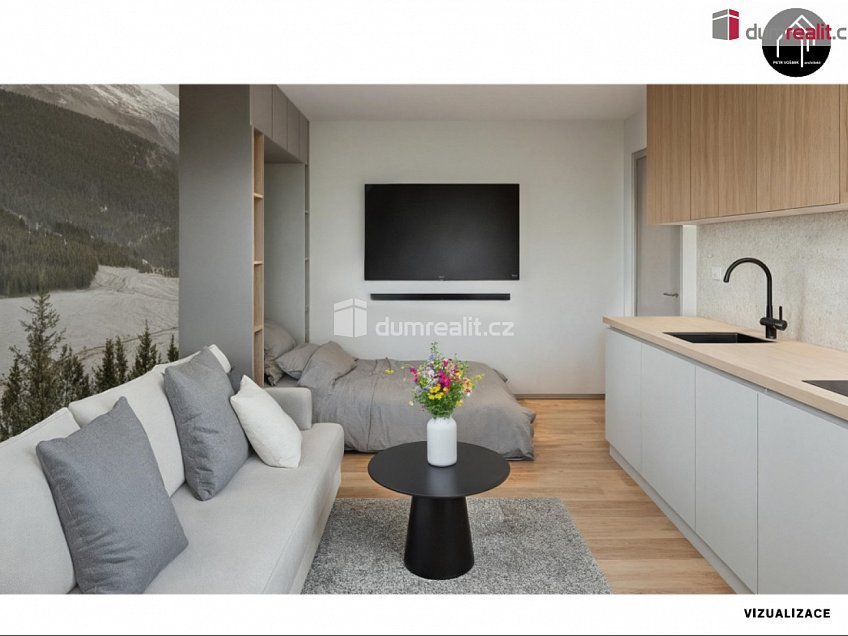 Prodej bytu 1+kk 25 m^2 Merklín, Merklín 