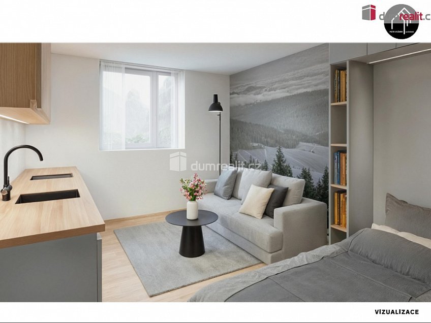 Prodej bytu 1+kk 25 m^2 Merklín, Merklín 