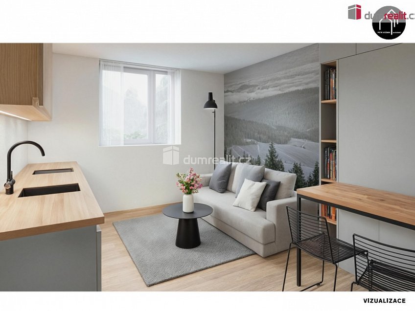 Prodej bytu 1+kk 25 m^2 Merklín, Merklín 