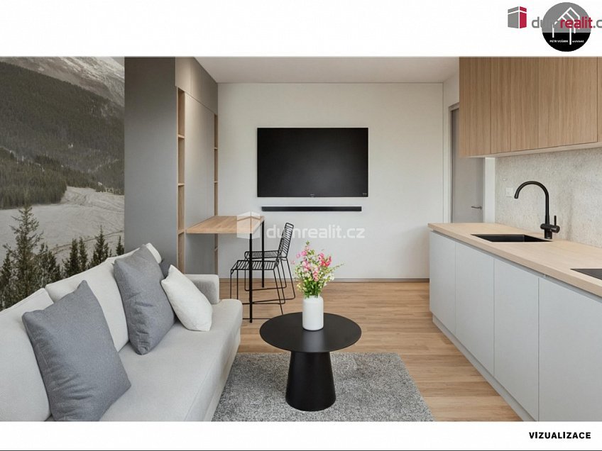 Prodej bytu 1+kk 25 m^2 Merklín, Merklín 