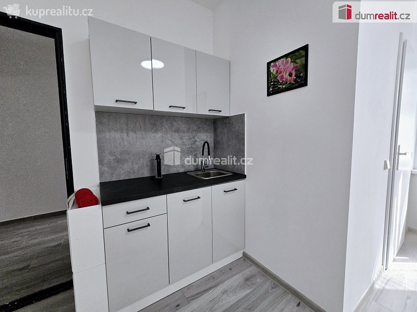 Pronájem bytu 1+kk 22 m^2 Nová, Lužná 