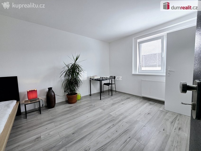 Pronájem bytu 1+kk 22 m^2 Nová, Lužná 