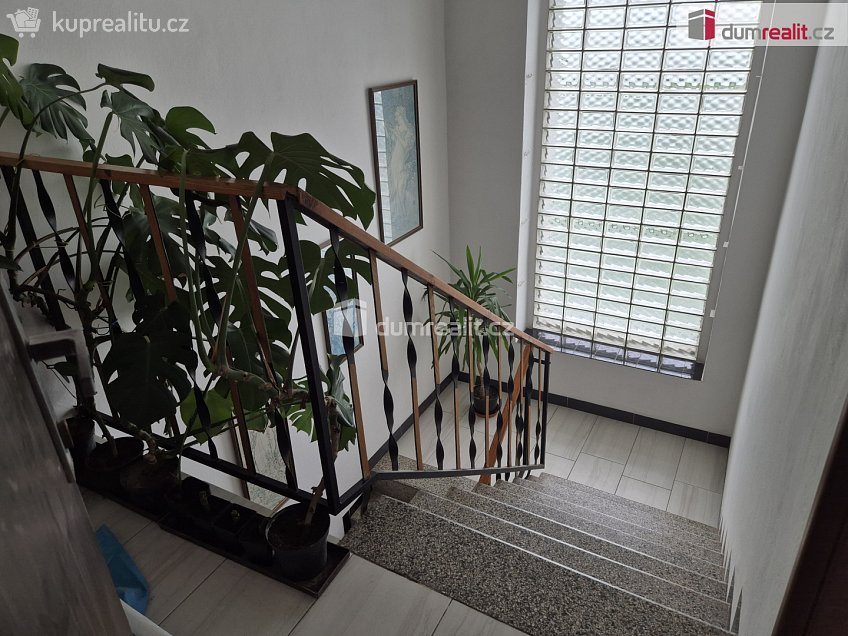 Pronájem bytu 3+kk 70 m^2 Fr. Halase, České Budějovice 