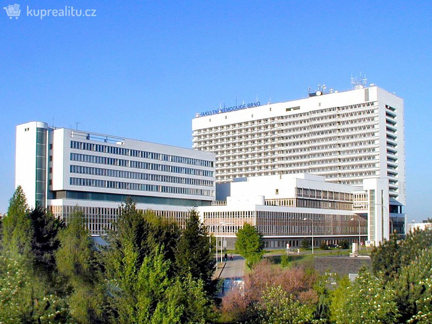 Pronájem bytu 1+1 43 m^2 U leskavy, Brno 62500