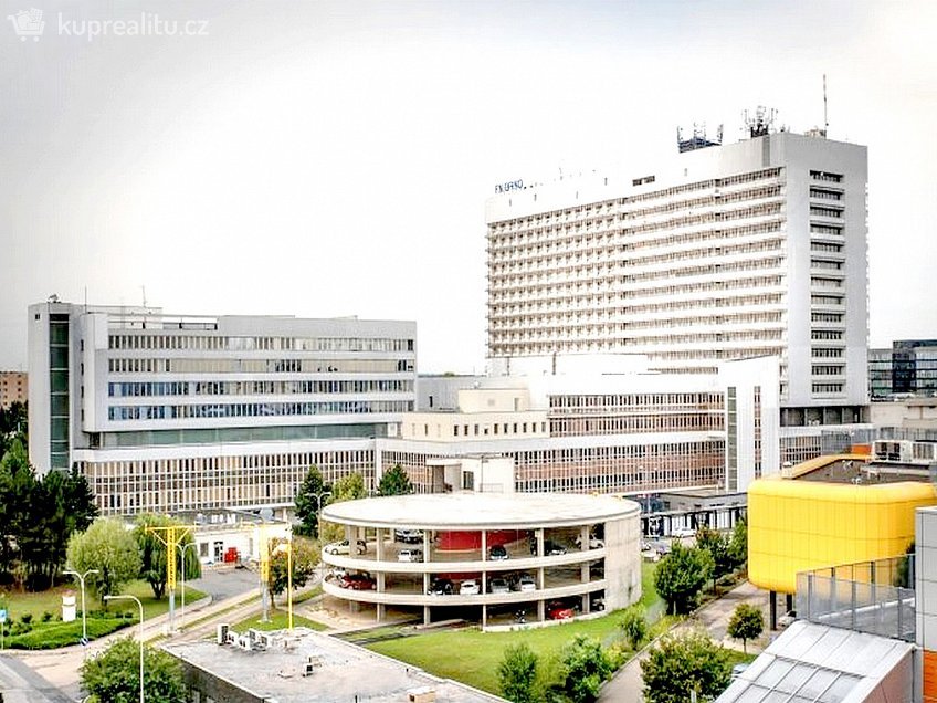 Pronájem bytu 1+1 43 m^2 U leskavy, Brno 62500