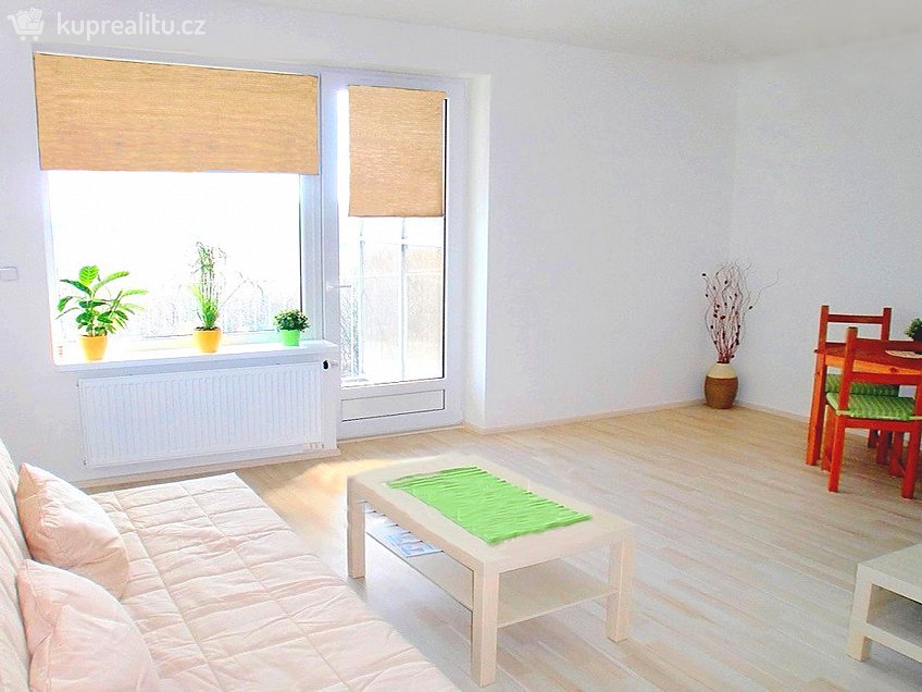 Pronájem bytu 1+1 43 m^2 U leskavy, Brno 62500
