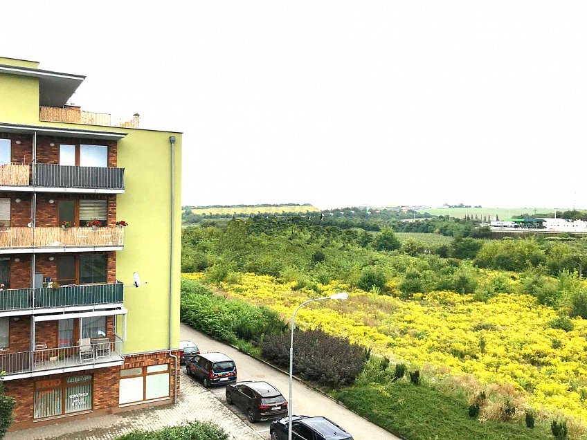 Pronájem bytu 1+1 43 m^2 U leskavy, Brno 62500
