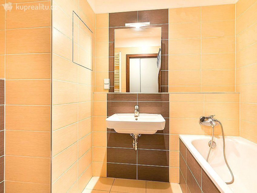 Pronájem bytu 1+1 43 m^2 U leskavy, Brno 62500