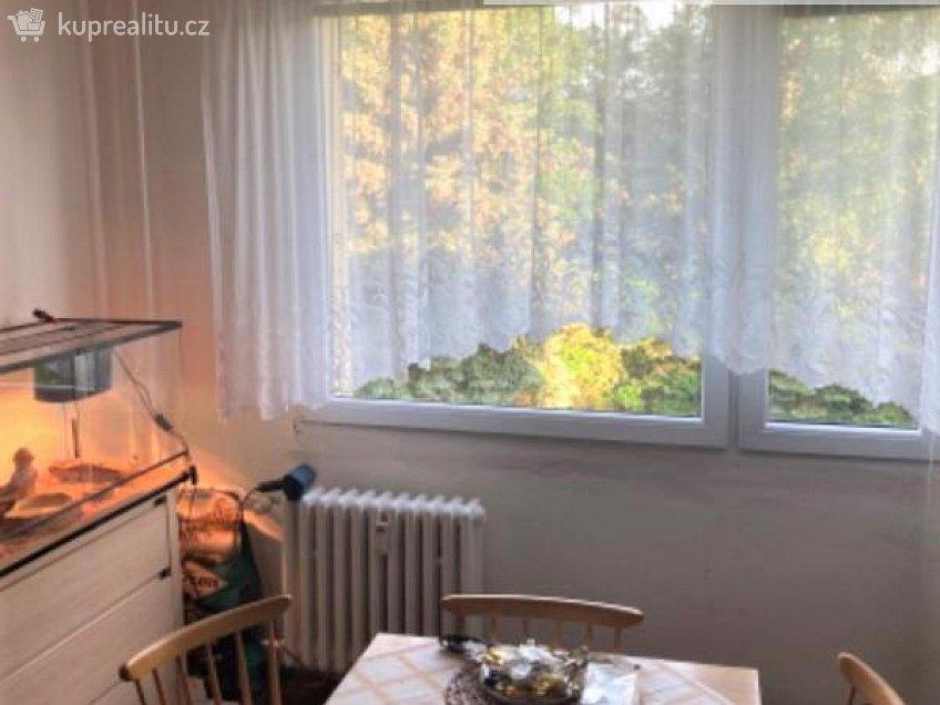 Pronájem bytu 1+1 35 m^2 Spojová, Jílové 