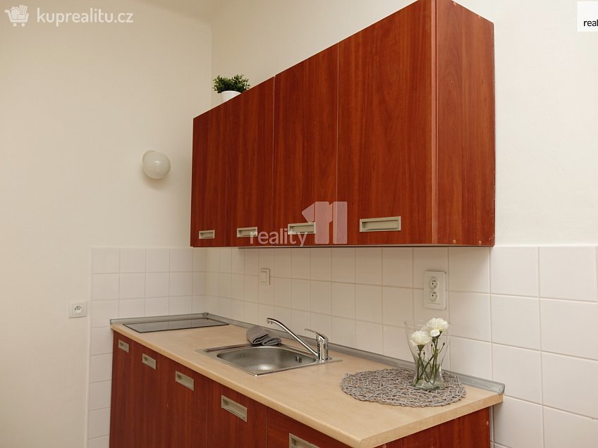 Pronájem bytu 1+kk 24 m^2 Biskupcova, Praha 3 