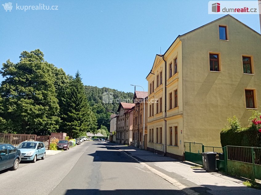Prodej  rodinného domu 390 m^2 Saská, Děčín 