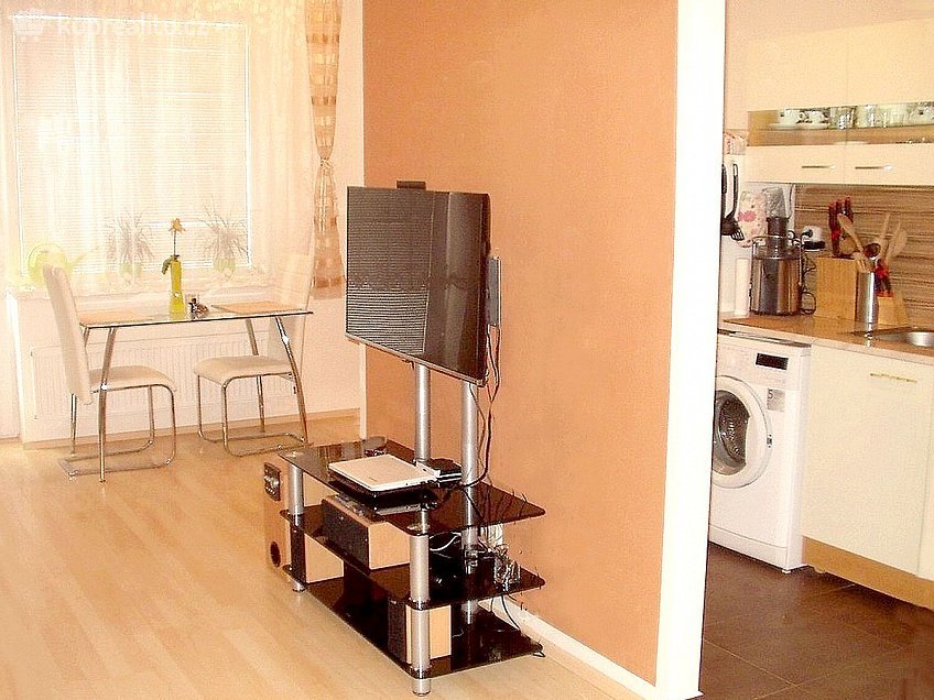 Pronájem bytu 1+kk 43 m^2 U leskavy, Brno 62500