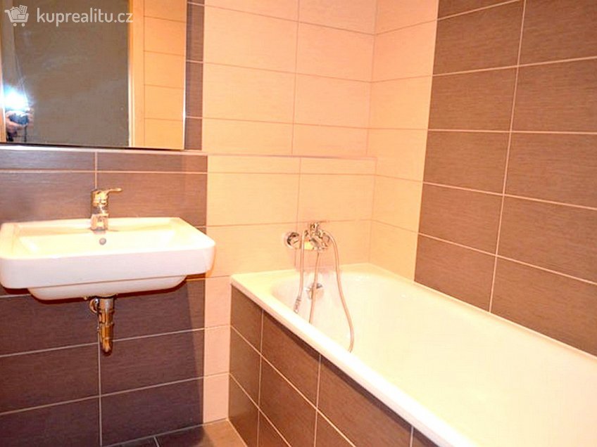 Pronájem bytu 1+kk 43 m^2 U leskavy, Brno 62500