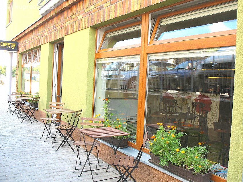Pronájem bytu 1+kk 43 m^2 U leskavy, Brno 62500