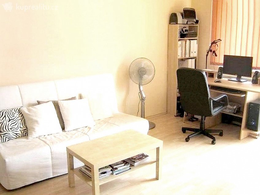 Pronájem bytu 1+kk 43 m^2 U leskavy, Brno 62500