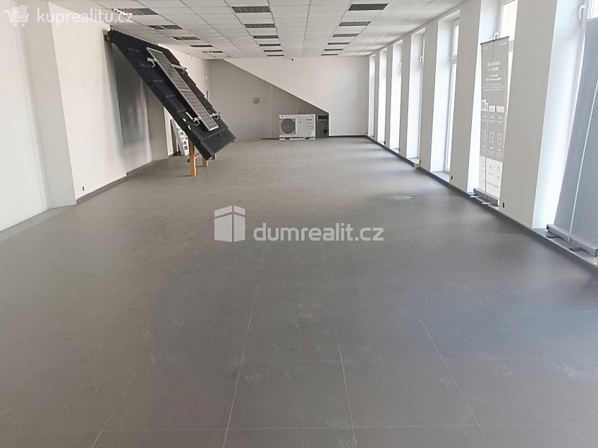 Prodej  výrobních prostor 793 m^2 Dělnická, Děčín 