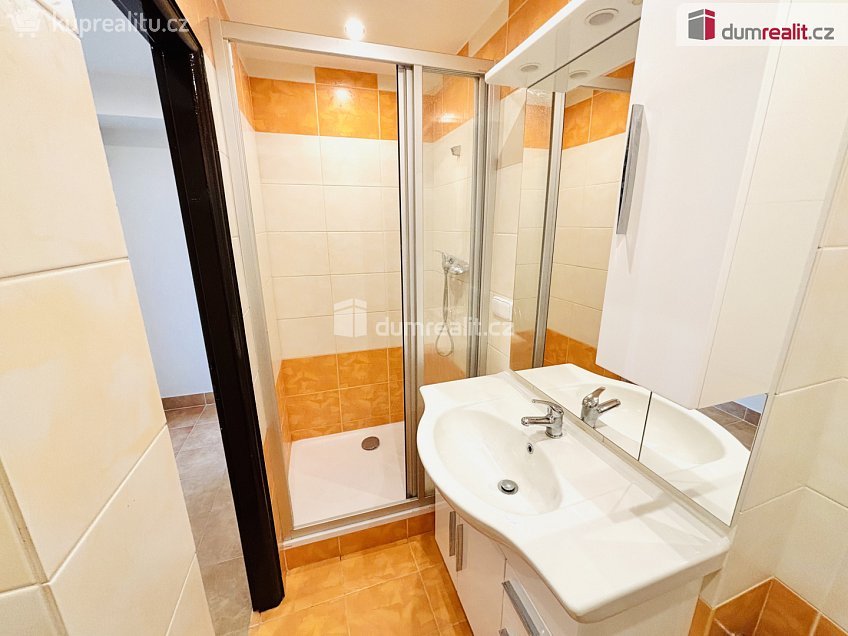 Prodej bytu 1+kk 31 m^2 Na Výsluní, Zruč nad Sázavou 