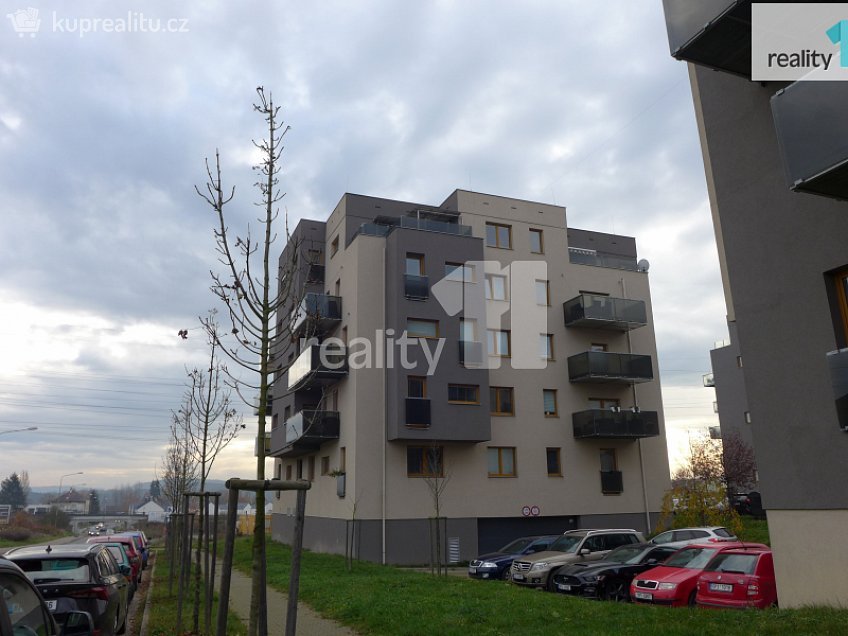 Pronájem bytu 2+kk 67 m^2 U Velkého rybníka, Plzeň 
