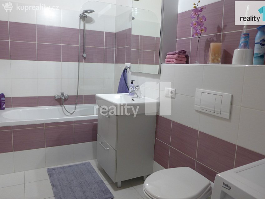 Pronájem bytu 2+kk 67 m^2 U Velkého rybníka, Plzeň 