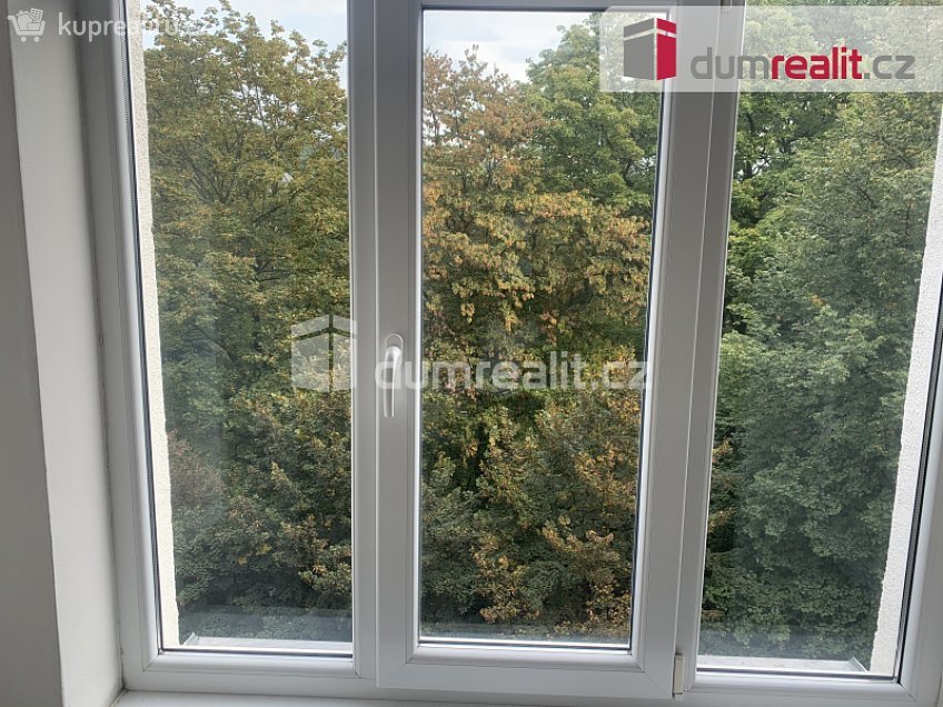Pronájem bytu 2+kk 62 m^2 Šaldova, Ústí nad Labem 