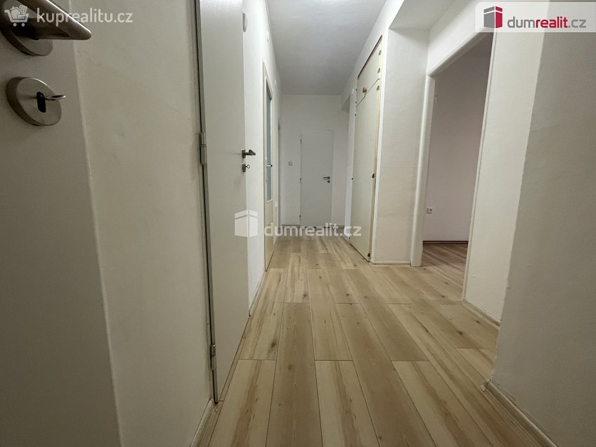 Pronájem bytu 3+1 75 m^2 Elišky Krásnohorské, Opava 