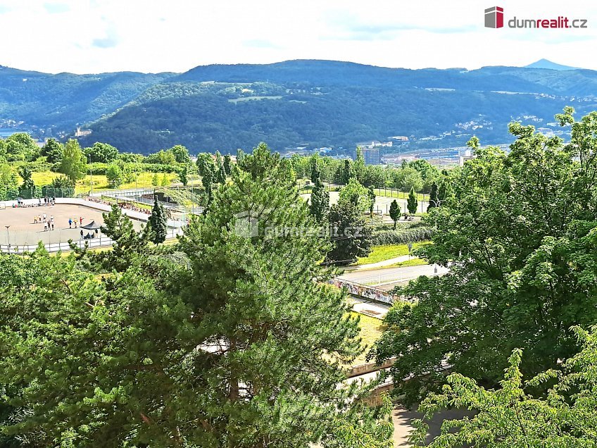 Pronájem bytu 1+1 36 m^2 Švestková, Ústí nad Labem 