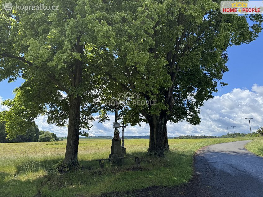 Prodej  rodinného domu 214 m^2 Dražíč, Dražíč 