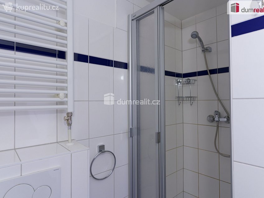 Pronájem bytu 1+kk 32 m^2 Děčínská, Praha 8 