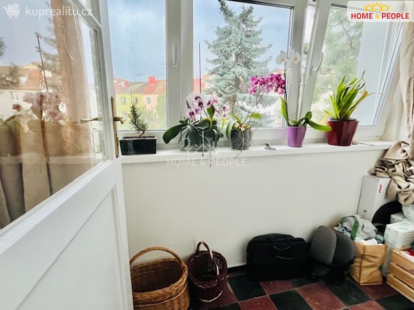 Pronájem bytu 2+kk 50 m^2 Spáčilova, Brno 