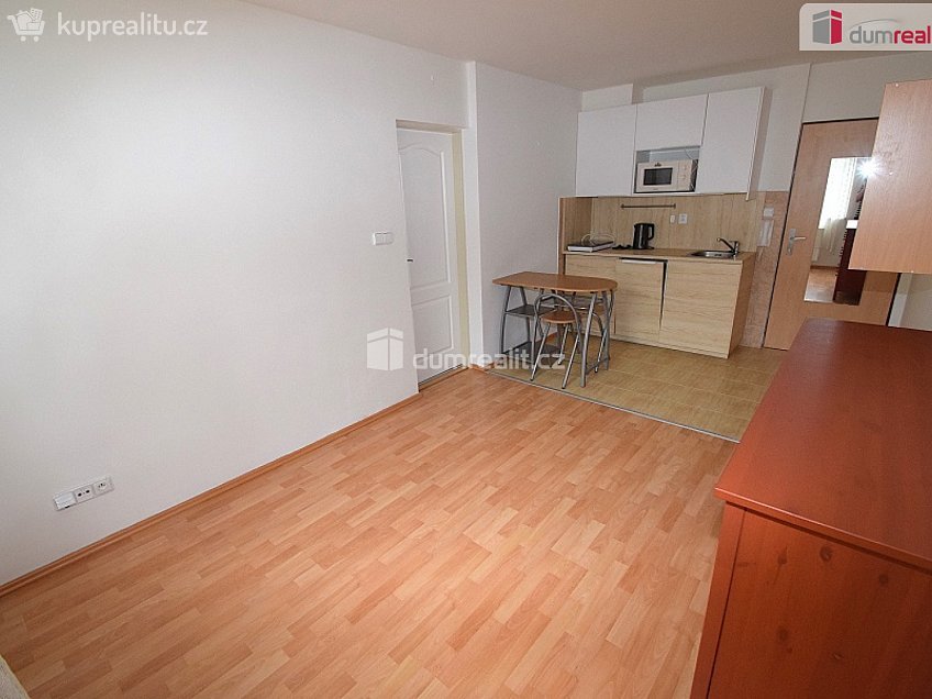 Pronájem bytu 2+kk 30 m^2 Nad Palatou, Praha 5 