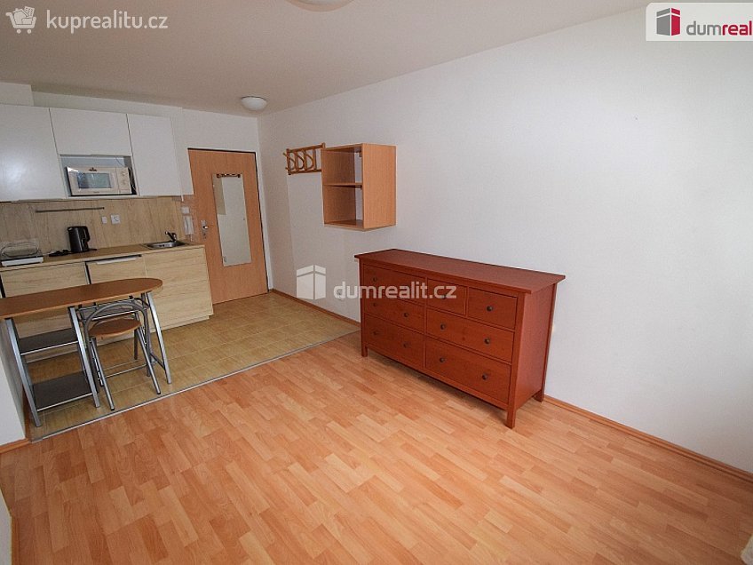 Pronájem bytu 2+kk 30 m^2 Nad Palatou, Praha 5 