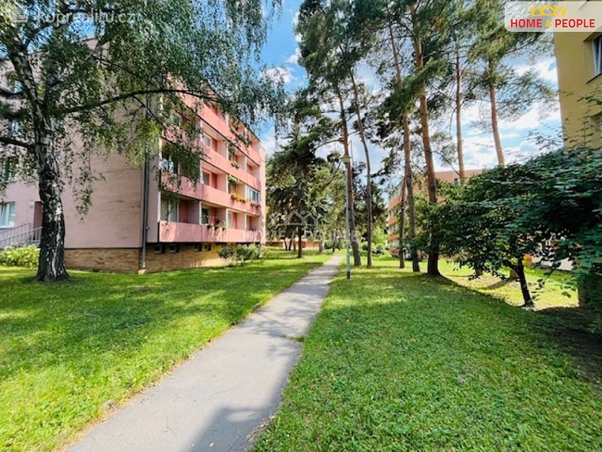 Pronájem bytu 2+1 55 m^2 Zborovská, Brno 