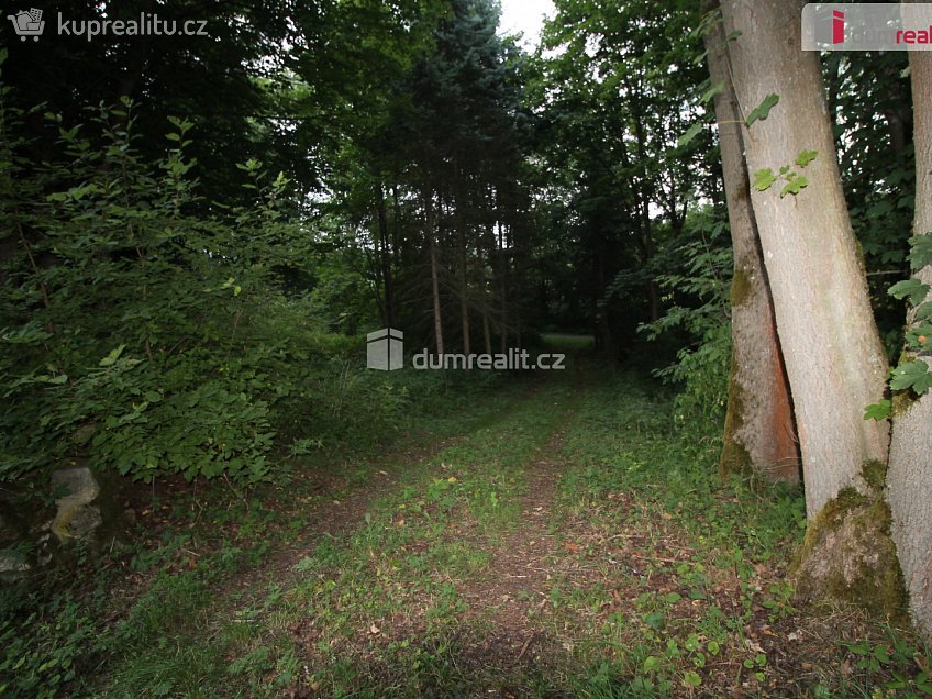 Prodej  chaty 120 m^2 Merklín, Merklín 