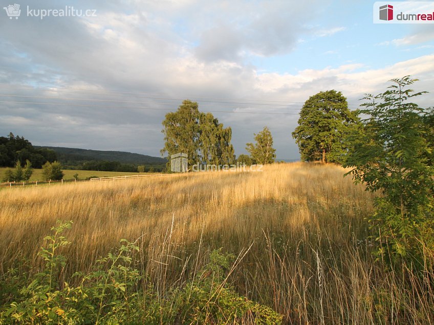 Prodej  chaty 120 m^2 Merklín, Merklín 