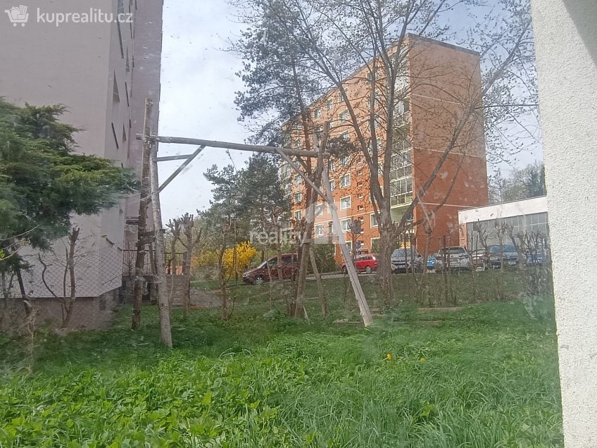 Pronájem bytu 2+1 50 m^2 Mariánská, Česká Lípa 