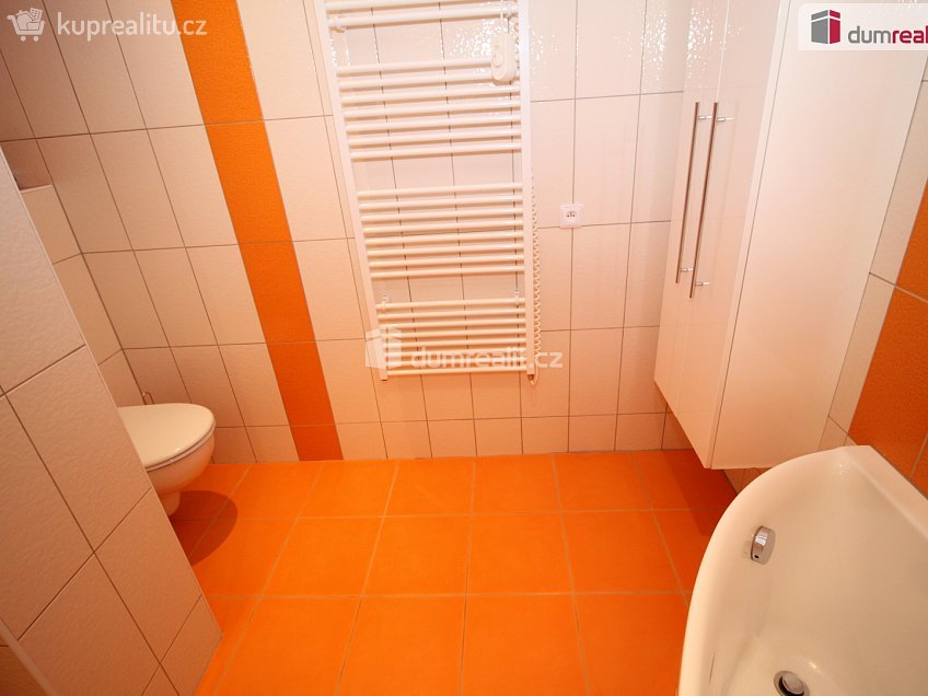 Pronájem bytu 2+1 60 m^2 Dlouhá, Lázně Kynžvart 