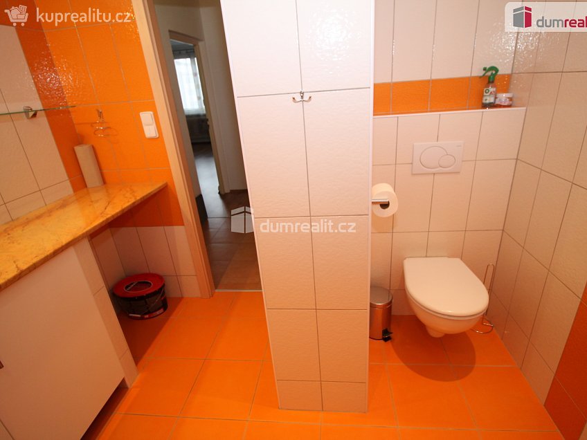 Pronájem bytu 2+1 60 m^2 Dlouhá, Lázně Kynžvart 