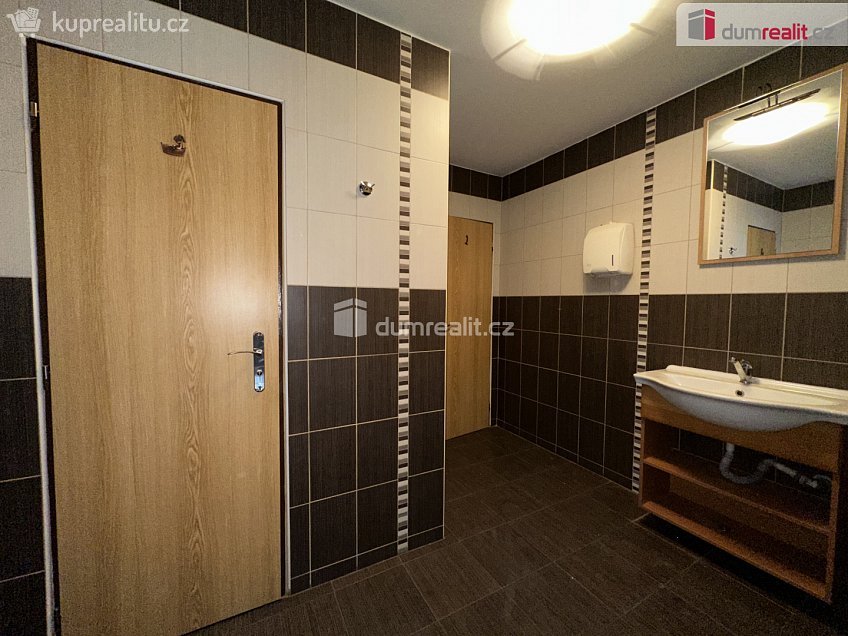 Pronájem  obchodních prostor 450 m^2 Horní huť, Dubňany 