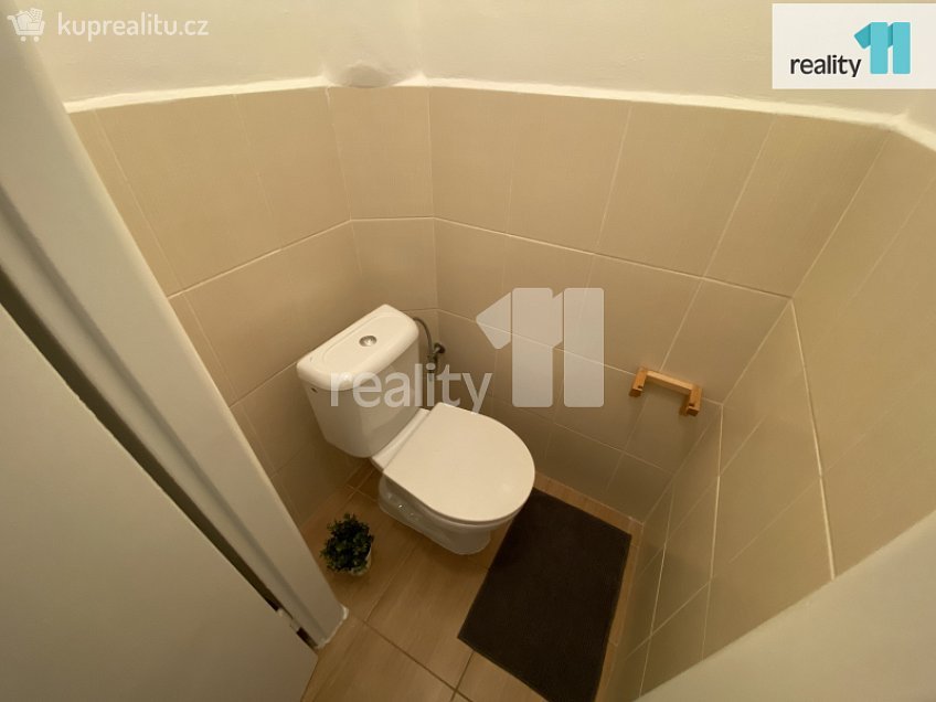 Pronájem bytu 1+1 43 m^2 Biskupcova, Praha 3 
