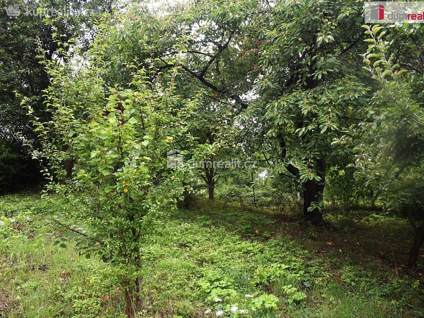 Prodej  stavebního pozemku 636 m^2 Dobrovice, Dobrovice 