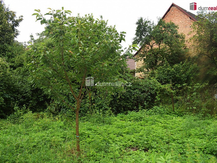 Prodej  stavebního pozemku 636 m^2 Dobrovice, Dobrovice 