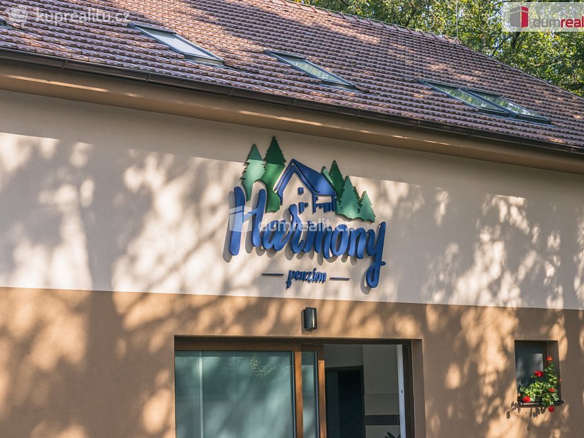 Prodej  ubytovacího zařízení 300 m^2 Břeclavská, Lednice 
