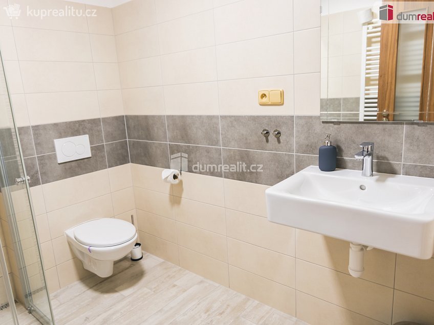 Prodej  ubytovacího zařízení 300 m^2 Břeclavská, Lednice 